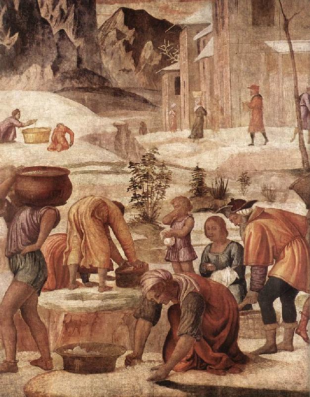 LUINI, Bernardino The Gathering of the Manna s France oil painting art
